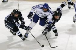 开云体育入口-羽球史诗，亚洲之光撕裂欧洲铁幕，李梓嘉的怒吼点燃新时代