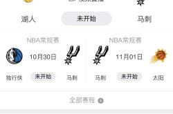 开云下载-猛龙再遭失利，黄蜂将如何应对？
