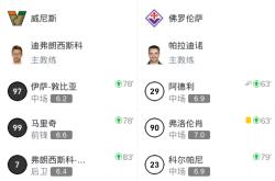 开云体育平台APP-佛罗伦萨球队打出快速反击，破门得分