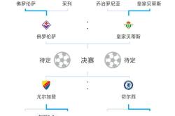 开云体育APP下载-欧洲杯：奥克兰队遗憾止步八强