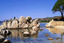 开云体育app-尤文图斯加时晋级32强：球迷沸腾庆祝