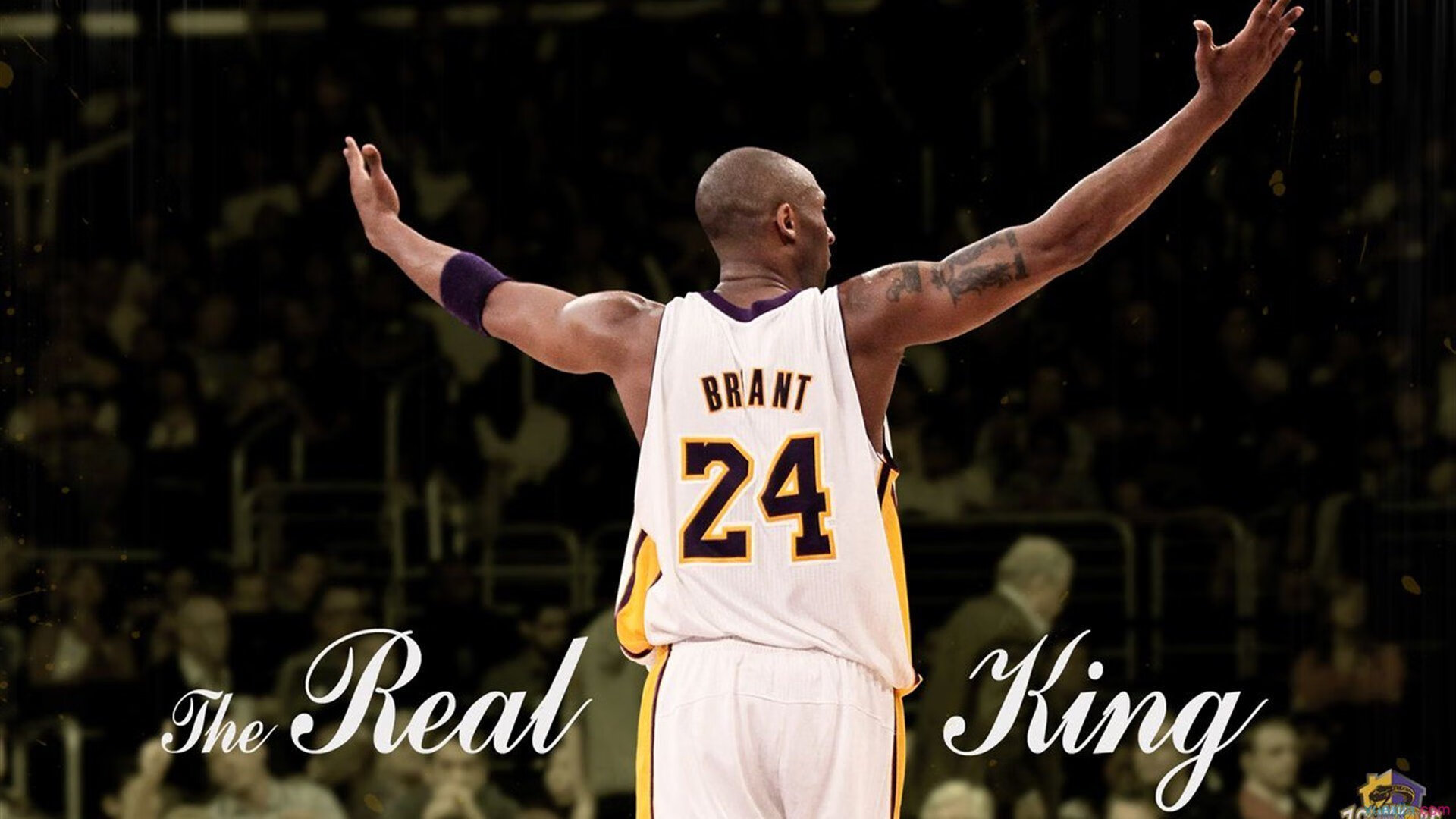 鹰击长空与德罗赞时刻，硬仗中见证运动精神的交响